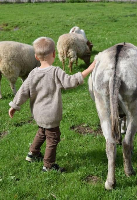 Heerlijk Huys, Vakantievilla Met Prive Tuin Ewijk Dış mekan fotoğraf